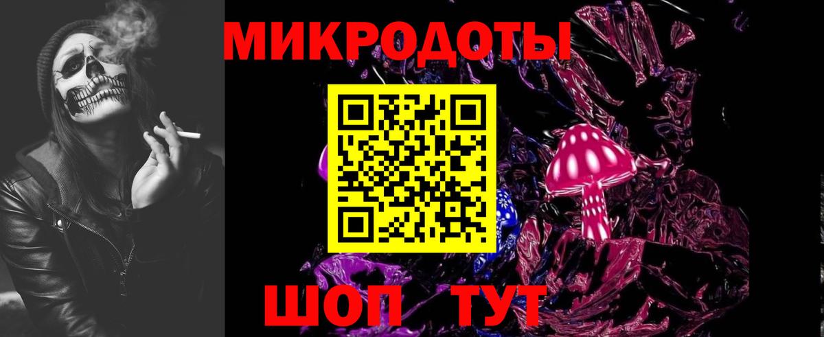 Галлюциногенные грибы мухоморы  наркотики  Димитровград  Вход с VPN 
